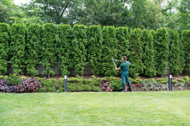 Best Tree Risk Assessment  in Liberty, IN