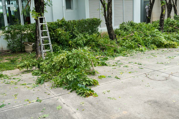 Best Lawn Pest Prevention  in Liberty, IN